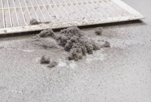 Best Affordable HVAC Duct Cleaning  in Utica, NE